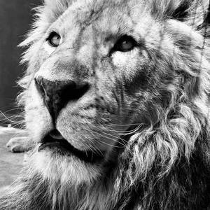 Meet your Posher, Dee